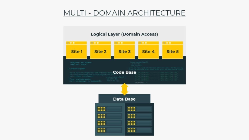 multi-domain architecture
